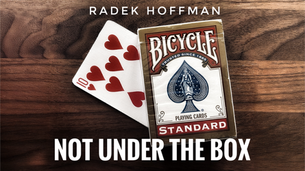 Not Under the Box by Radek Hoffman Download
