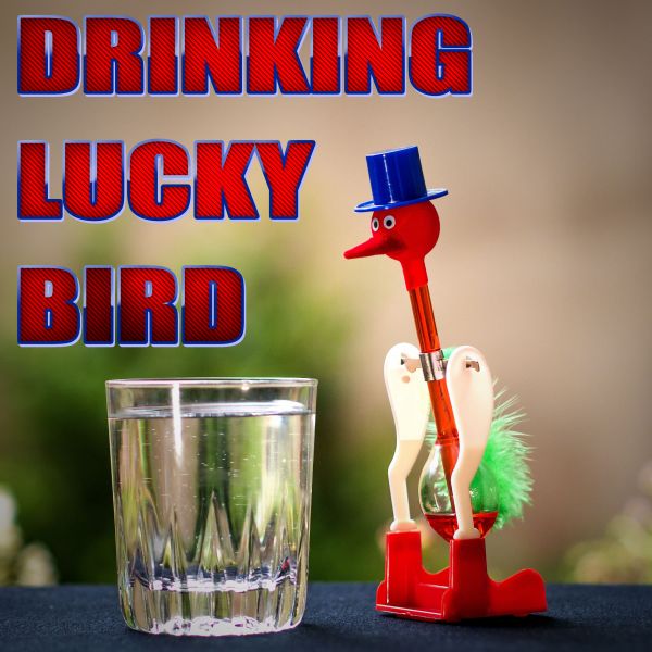 Drinking Lucky Bird