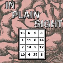 In Plain Sight