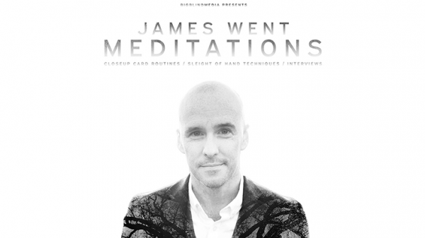 James Went's Meditations video DOWNLOAD