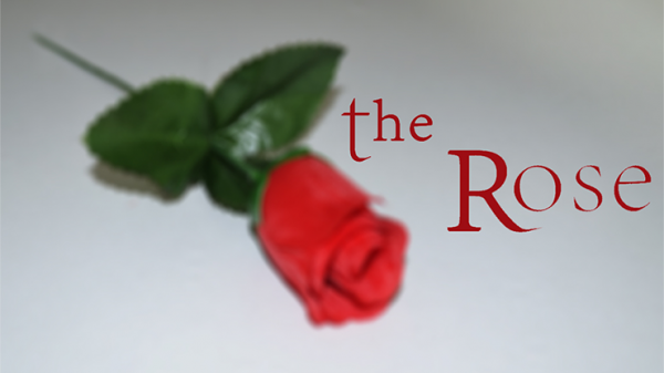 The Rose by Sandro Loporcaro (Amazo) video DOWNLOAD