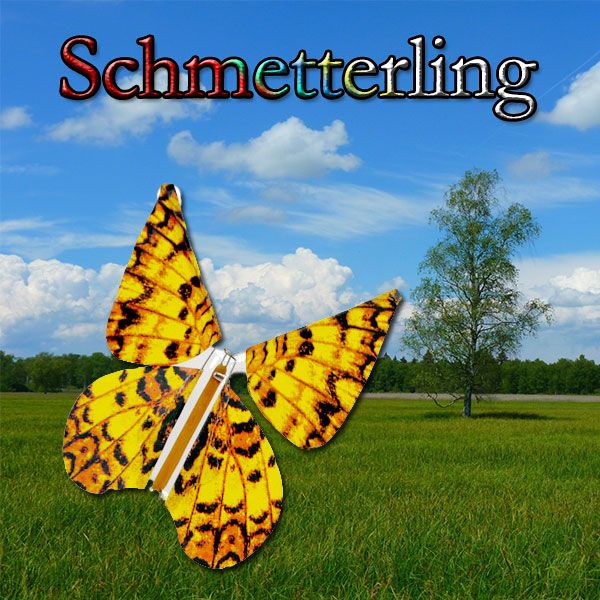 Schmetterling