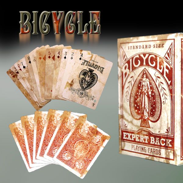 Bicycle Distressed Expert Back