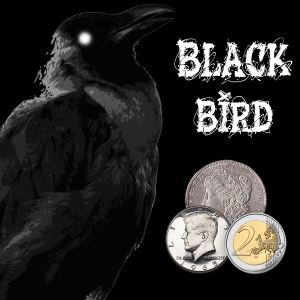 Black Bird Zauberzubehör