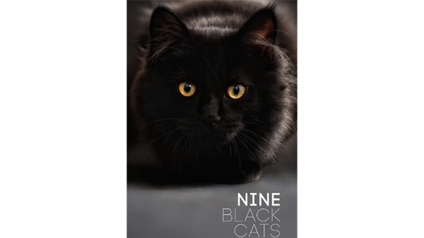 Nine Black Cats by Neema Atri eBook DOWNLOAD