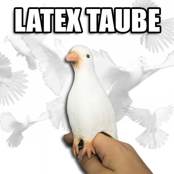 Latex Taube