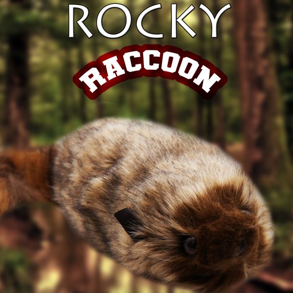Rocky Raccoon Zaubertrick Bühne