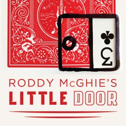 Little Door Roddy McGhie