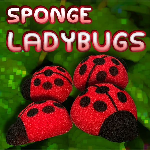 Sponge LadyBugs - Alan Wong