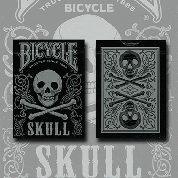 Bicycle Skull Metallic (Silver) USPCC by Gambler's Warehouse