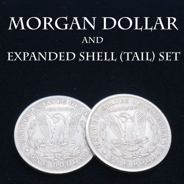 Morgan Dollar and Expanded Shell Set